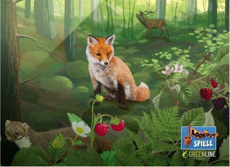 Die „Mischwald“-Reihe von Lookout: Wenn Kartenspiel auf Naturerlebnis trifft